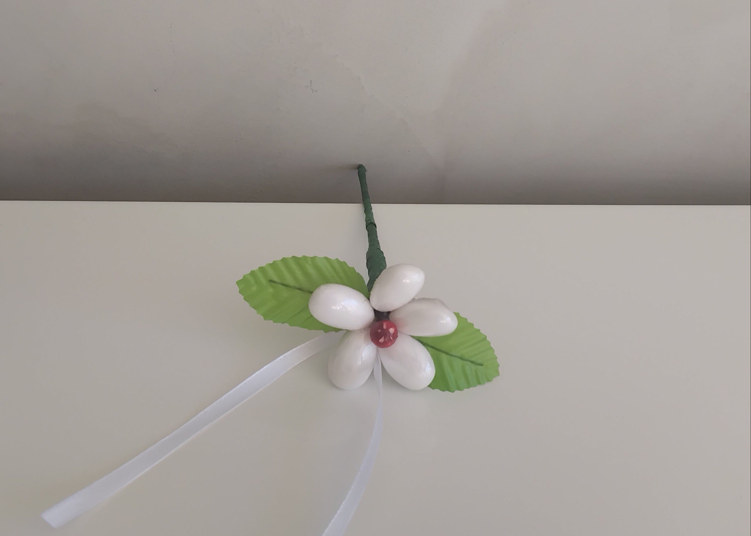 La marguerite blanche